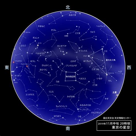 11月25日是什麼星座|11月25日是什么星座的